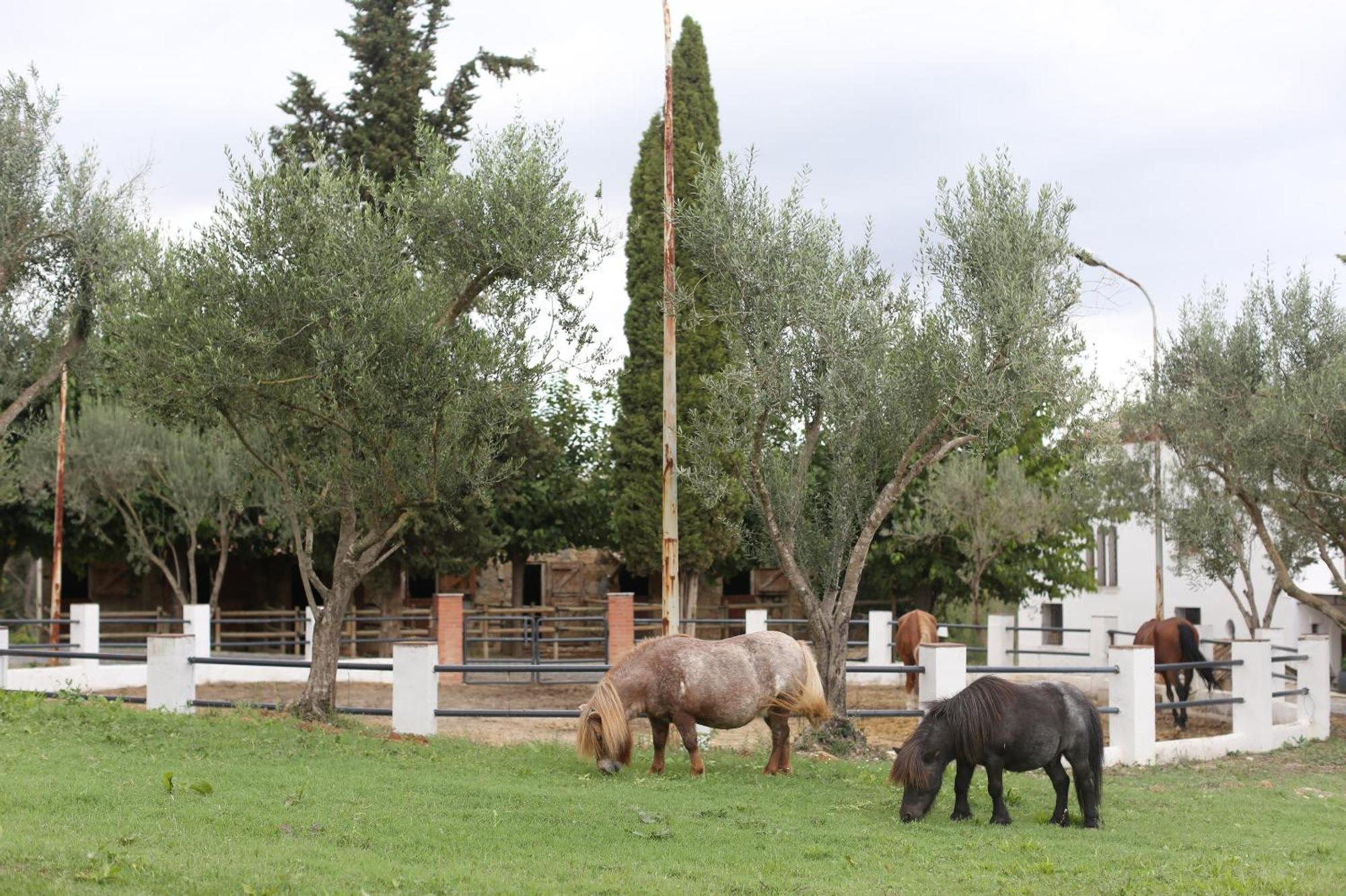 Masia Can Rovira - Esc1852 San Lorenzo de Hortons Exterior photo